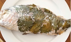 20150128so.jpg